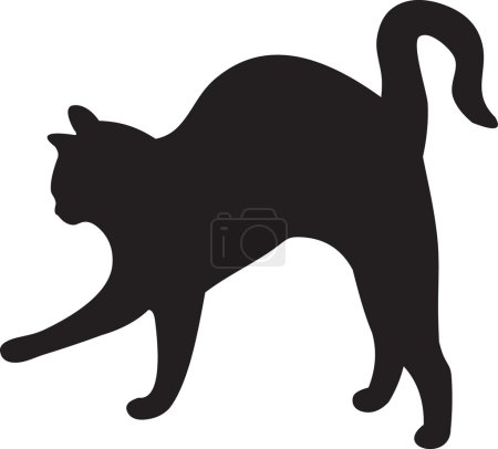 Vecteur chat