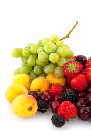 Diversité des fruits 