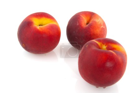 Pêche