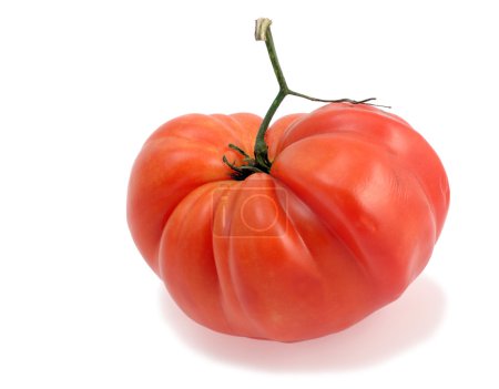tomate