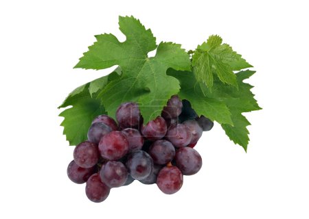 raisins