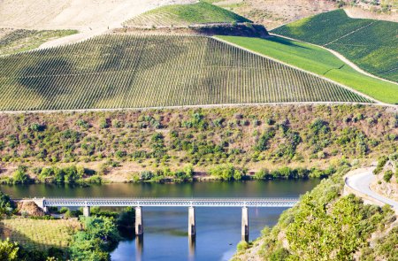 Viaduc ferroviaire dans la vallée du Douro, Portugal 