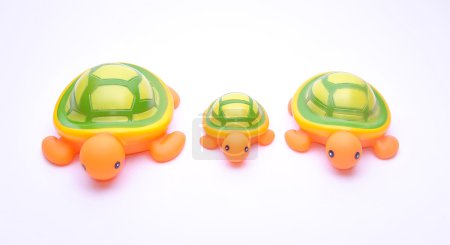 Tortues jouet 