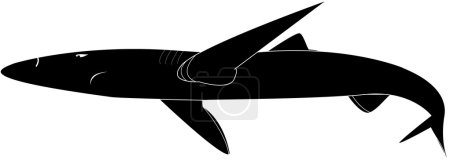 requin