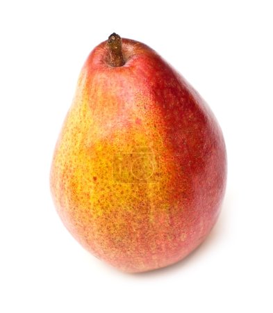 Collecte de fruits 