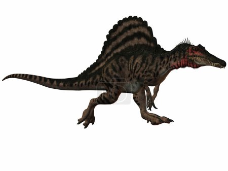 Spinosaure-3D Dinosaure 