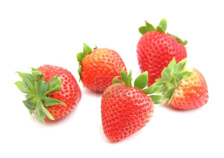 fraises sur fond blanc