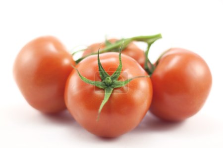 Tomate rouge 