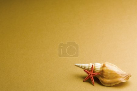 Coquillages