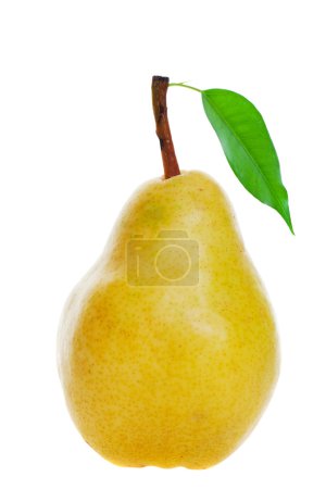 Poire dorée 