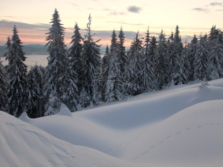Matin dans les montagnes .