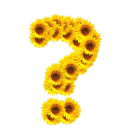 Alphabet de fleurs 