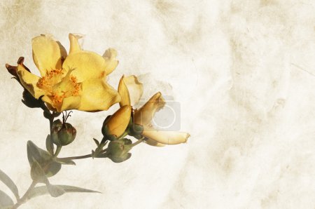 Fond texturé avec fleurs et espace pour le texte ou l'image - scrapbooking 
