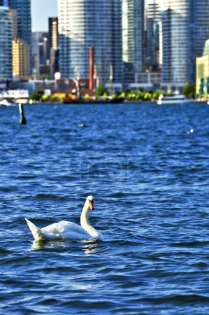 Secteur riverain de Toronto 