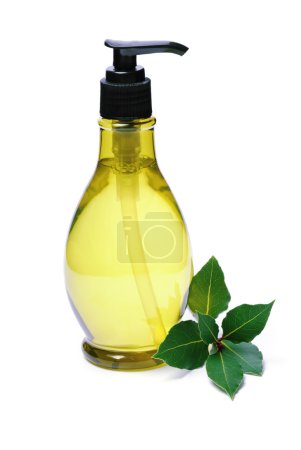 Bouteille et laurier 