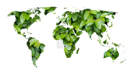 Carte du monde des feuilles vertes 