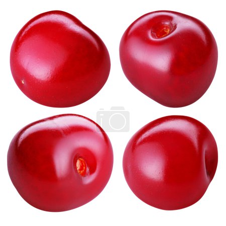 cerise