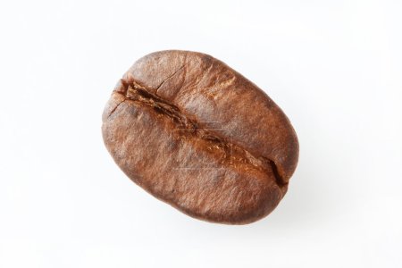 Grain de café unique 