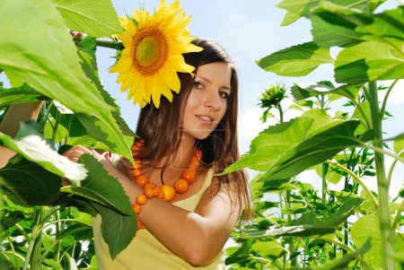 Beauté dans les tournesols 
