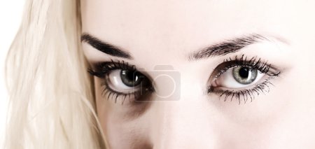 Photo des yeux de femme 